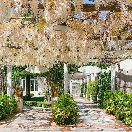 Hotel Giordano 4*